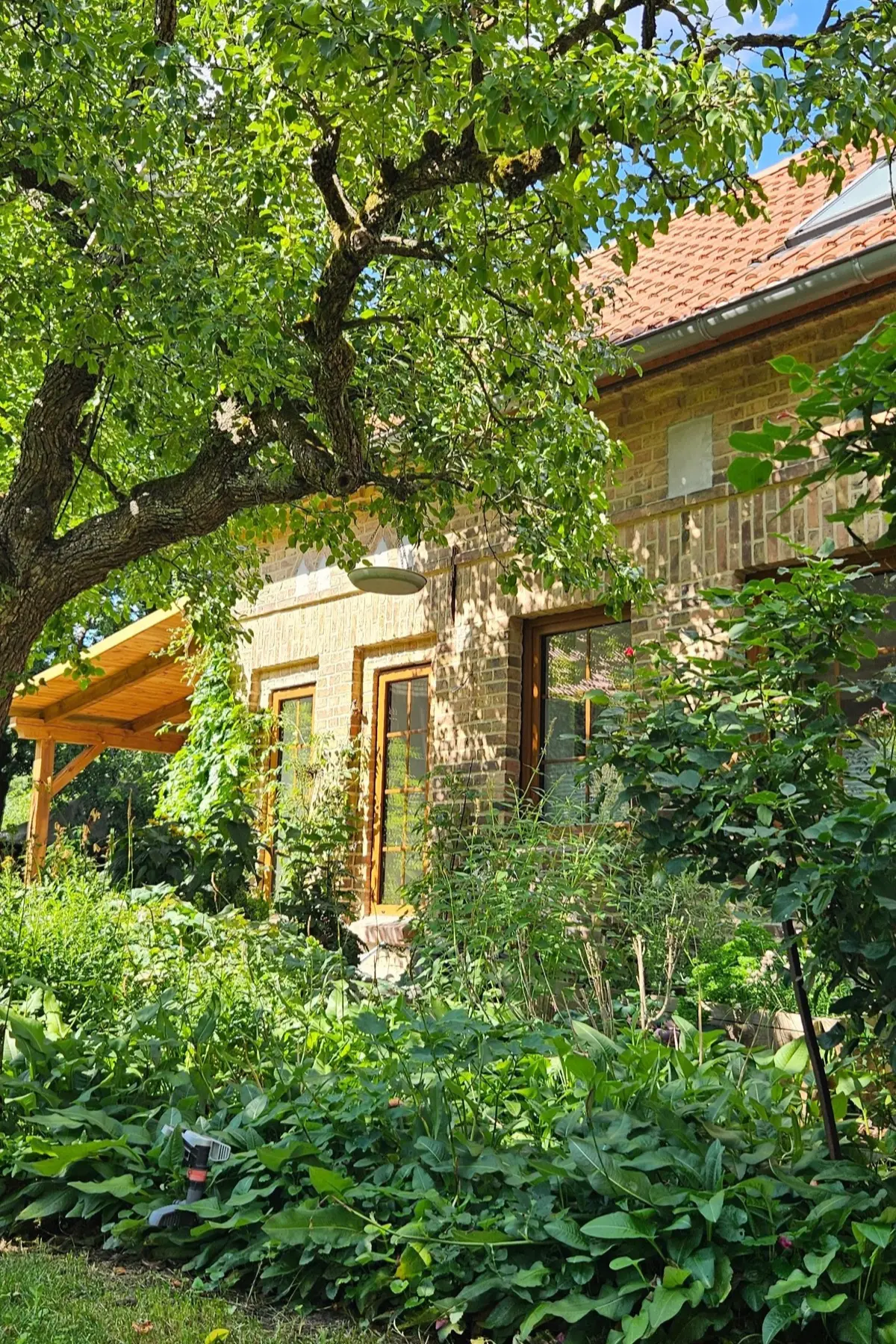 Großer Garten am Ferienhaus Pathe im Unterspreewald
