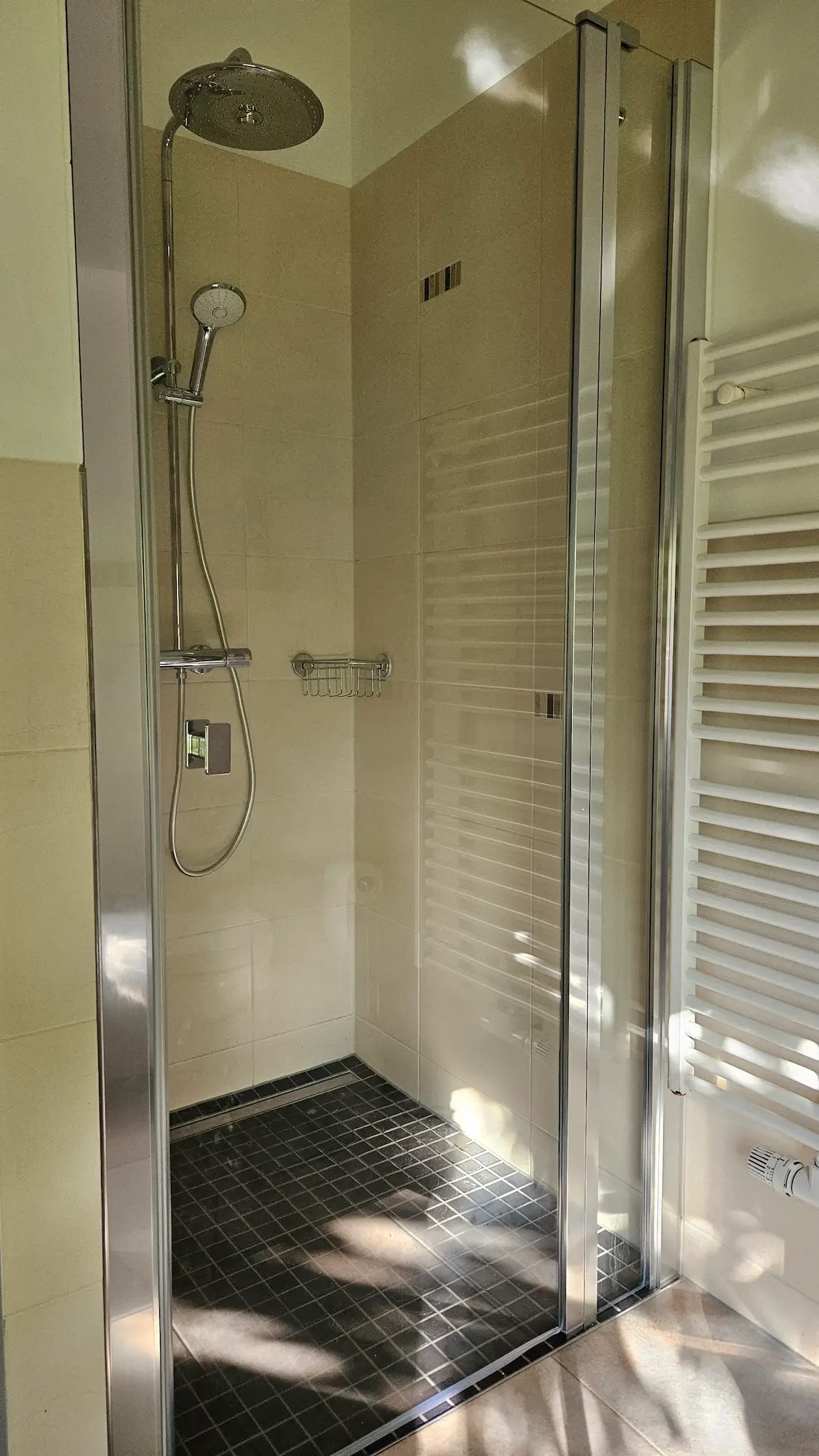 Dusche im Bad – Ferienhaus Pathe im Unterspreewald