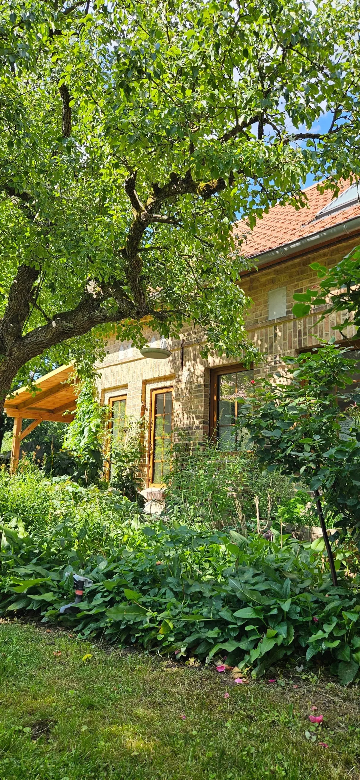 Großer Garten am Ferienhaus Pathe im Unterspreewald
